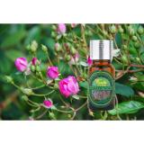 Lọ tinh dầu Aromatic World hoa nhài 10ml
