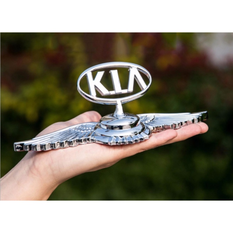 Logo kim loại 3D cao cấp gắn capo ô tô LO01