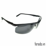 Mắt Kính Nam Phân Cực polarised