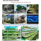 Máy bơm nước bể cá LifeTech AP3100