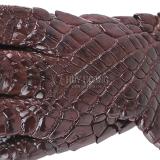 Móc khóa da cá sấu nguyên con màu nâu đất TH8272