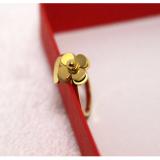 Nhẫn titan hoa trà mạ vàng 24k