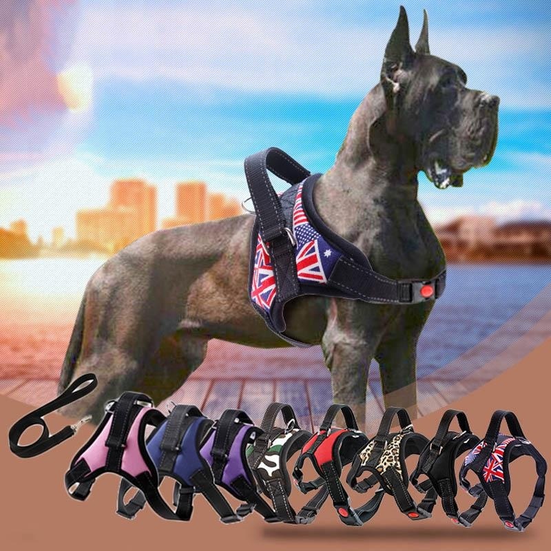 Pets Dog Harness Breathable Mesh Pet Dogs Leash Harness Accessories (Size:S) - intl