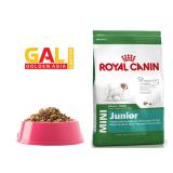 Royal canin mini Junior 800gr Galvietnam