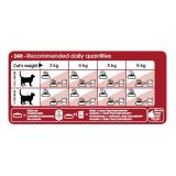 Thức ăn hạt Royal canin Fit 32 (2kg)