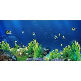 Tranh phông nền 3D dán hồ cá Aqua_008 KT 120 x 60 cm