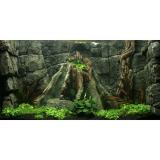 Tranh phông nền 3D dán hồ cá Aqua_011 KT 120 x 60 cm