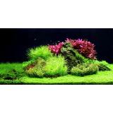 Tranh phông nền 3d dán hồ cá aqua_012 kt 120 x 60 cm