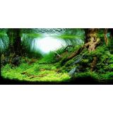 Tranh phông nền 3D dán hồ cá Aqua_013 KT 120 x 60 cm