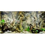 Tranh phông nền 3D dán hồ cá Aqua_016 KT 120 x 60 cm