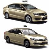 Vây cá mập anten - vàng gold