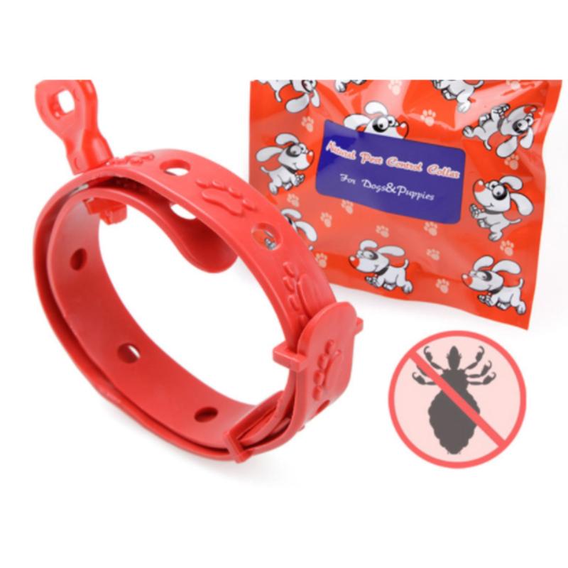 Vòng cổ chống ve, bọ chét cho chó 2-10kg, Phụ kiện cho chó - Vòng chống ve bobo