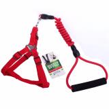 [HCM]Vòng cổ và dây dắt chó HH1800