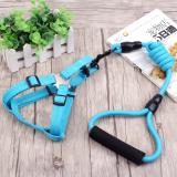 [HCM]Vòng cổ và dây dắt chó HH1800