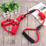 [HCM]Vòng cổ và dây dắt chó HH1800
