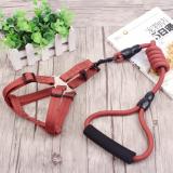 [HCM]Vòng cổ và dây dắt chó HH1800