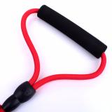 [HCM]Vòng cổ và dây dắt chó HH1800