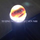 Vòng gỗ hóa thạch 16mm (Hóa ngọc)