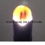 Vòng gỗ hóa thạch 16mm (Hóa ngọc)