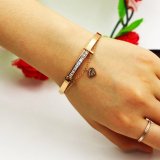 Vòng tay Titan đính đá VT123 (Màu Đồng)