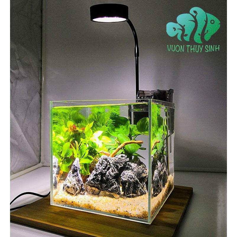 Đèn thuỷ sinh, tiểu cảnh mini đế gỗ 5W