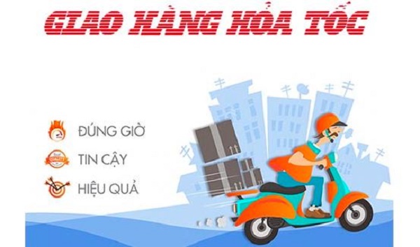XƯƠNG CÁ THỦY SINH 15 CÂY KHÔNG CẦN CO2