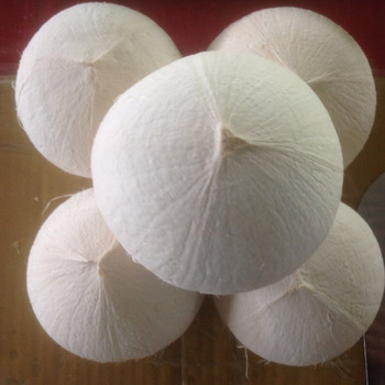Dừa xiêm gọt trọc