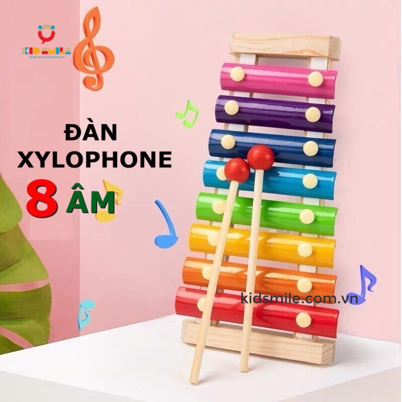 Đồ chơi trẻ em đàn xylophone 8 âm bằng gỗ phát triển trí não và cảm quan cho bé gái và trai từ 1 tuổi trở lên