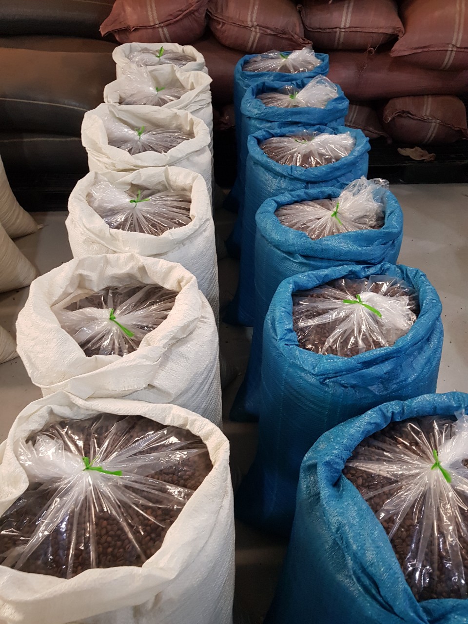 CÀ PHÊ HỒNG PHÚC ĐẬM ĐÀ HẠT 500 GR RANG XAY NGUYÊN CHẤT