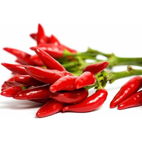 30 Hạt giống ớt chỉ thiên