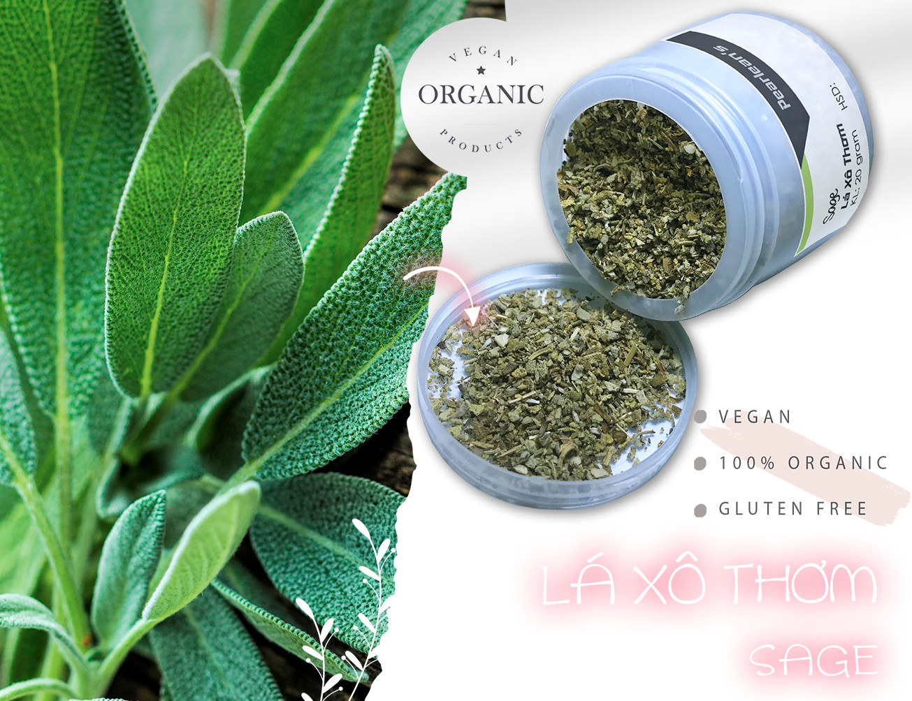 [HCM]Lá Xô Thơm Sage 20gr
