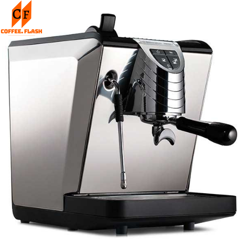 Ron (gioăng) cao su máy pha cà phê NUOVA SIMONELLI OSCAR II