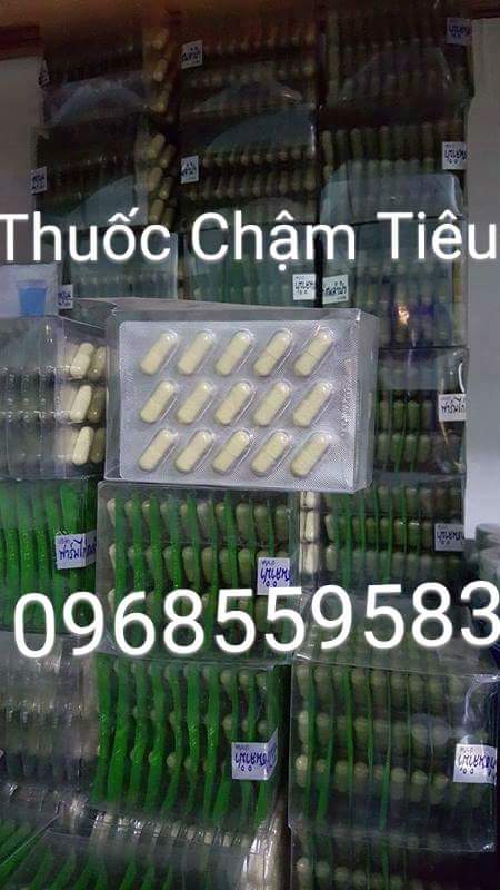 CHƯỚNG DIỀU ĂN KHÔNG TIÊU CHO GÀ