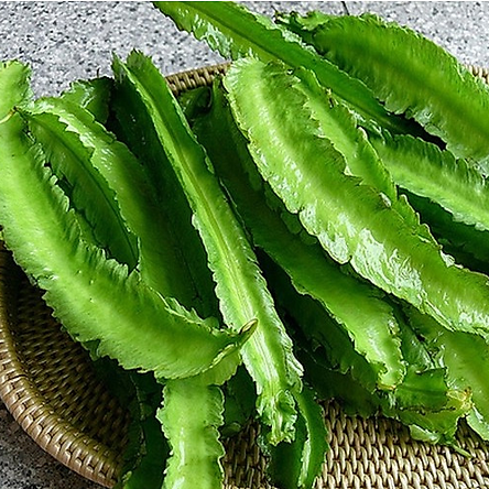 5Gram hạt giống đậu rồng ( Đậu Khế )