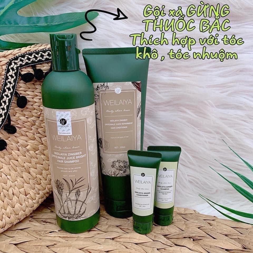 Cặp dầu gội xả gừng trắng kích mọc tóc Weilaiya Ginger (kèm set gội xả mini 14g)