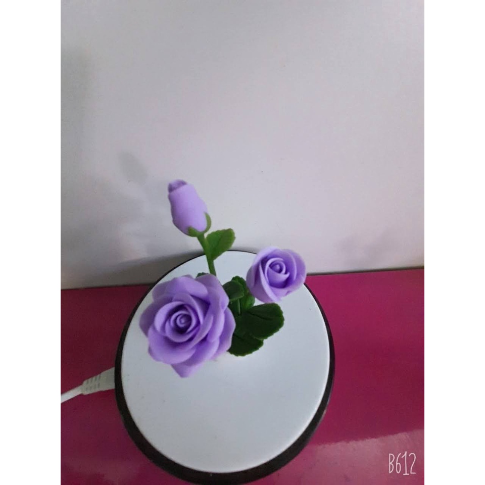 Hồng mini dể thương