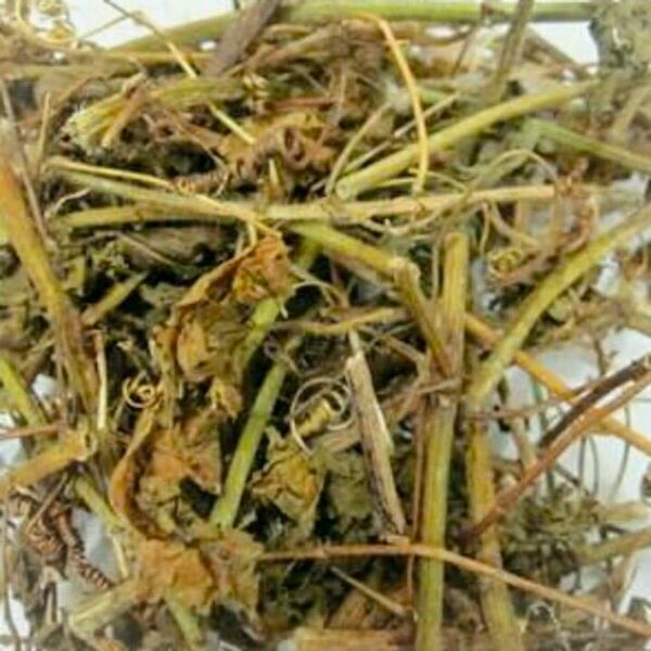 Combo 3kg cây lạc tiên khô