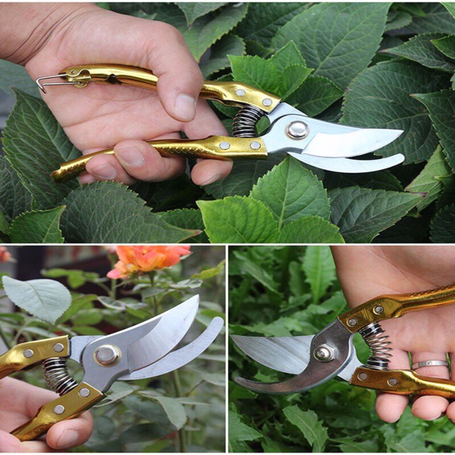kéo cắt cành cán vảy cá SK5
