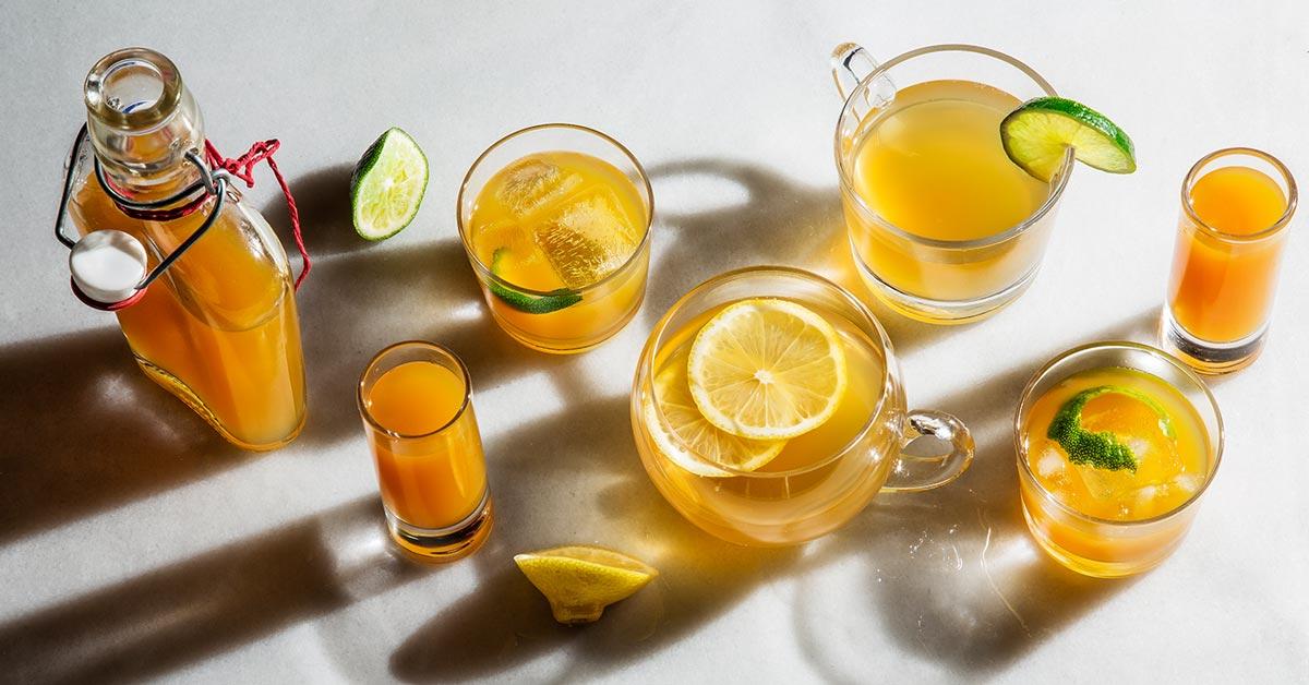 Scoby khởi đầu nuôi Kombucha