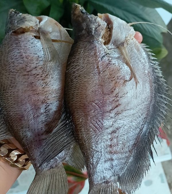 500 Khô cá sặc rằn ( Cá bổi) LOẠI NGON ĐẶC SẢN ĐẤT MŨI