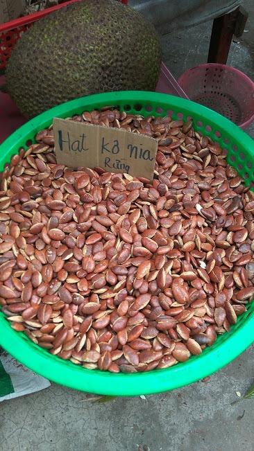Hạt Konia rừng Đăk Lăk
