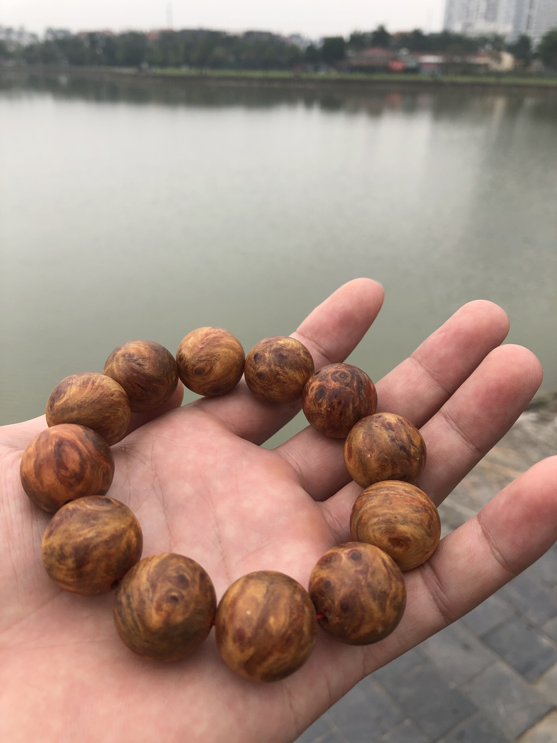 Vòng phong thuỷ Nu Hoa Huyết Long size 20mm