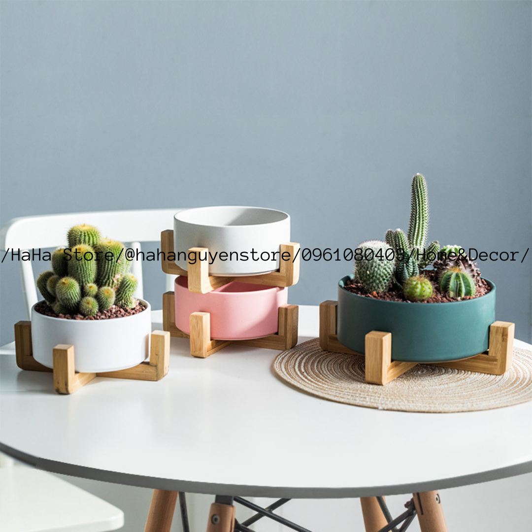 Đôn Gỗ Đặt Chậu Cây ĐỂ BÀN Decor Chậu Cây CCG05-DB