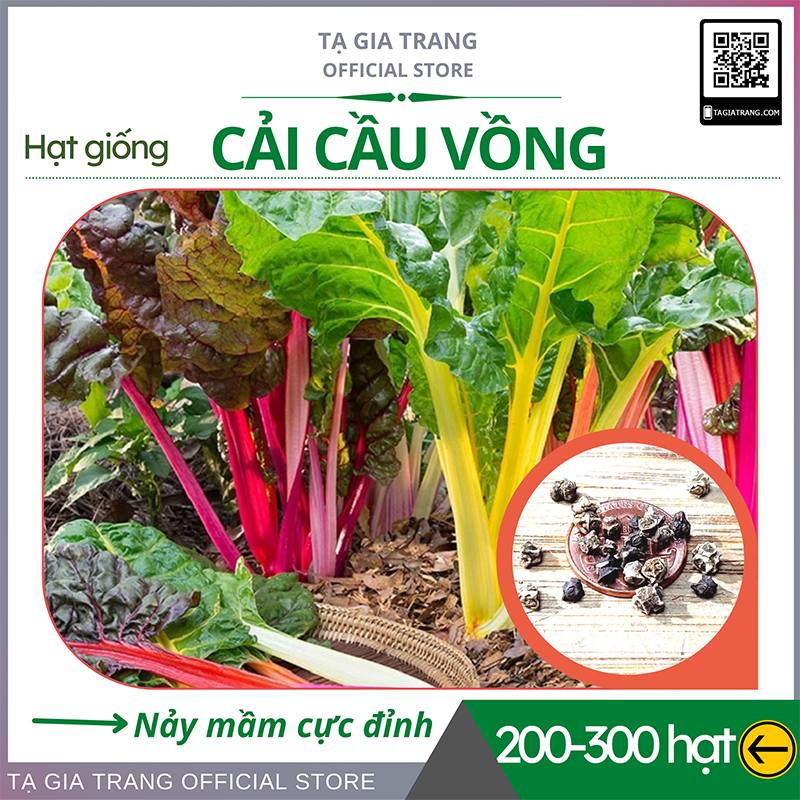 Hạt giống rau cải cầu vồng - Gói 10g