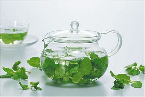 Bình Trà | Hario Chacha Kyusu Maru tea