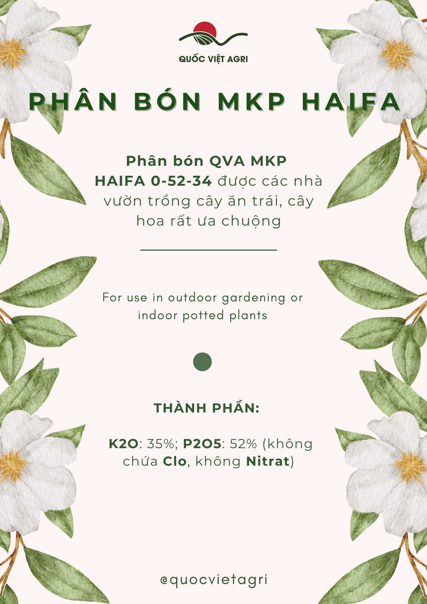 QVA - CHÍNH HÃNG: [100g-25kg] Phân bón MKP HAIFA 0-52-34