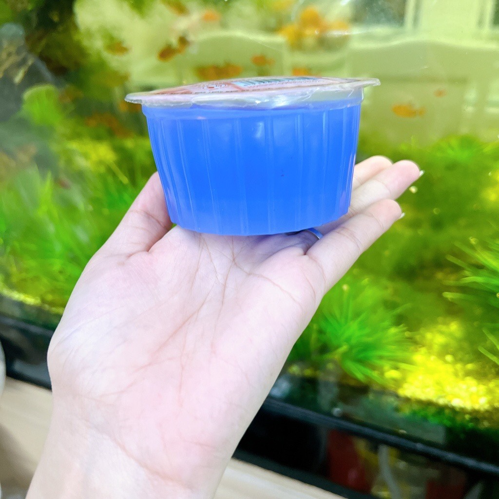 Cồn thạch-cồn khô (1 hộp/ 120gr)