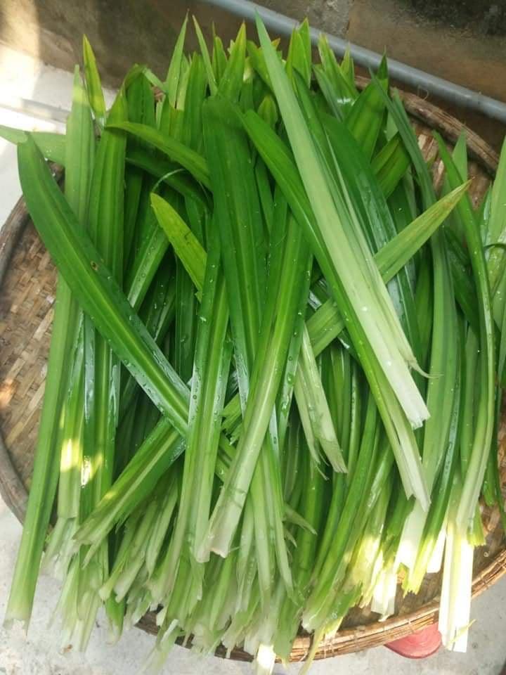 1 ký THẠCH DỪA THÔ BẾN TRE kèm hương dừa