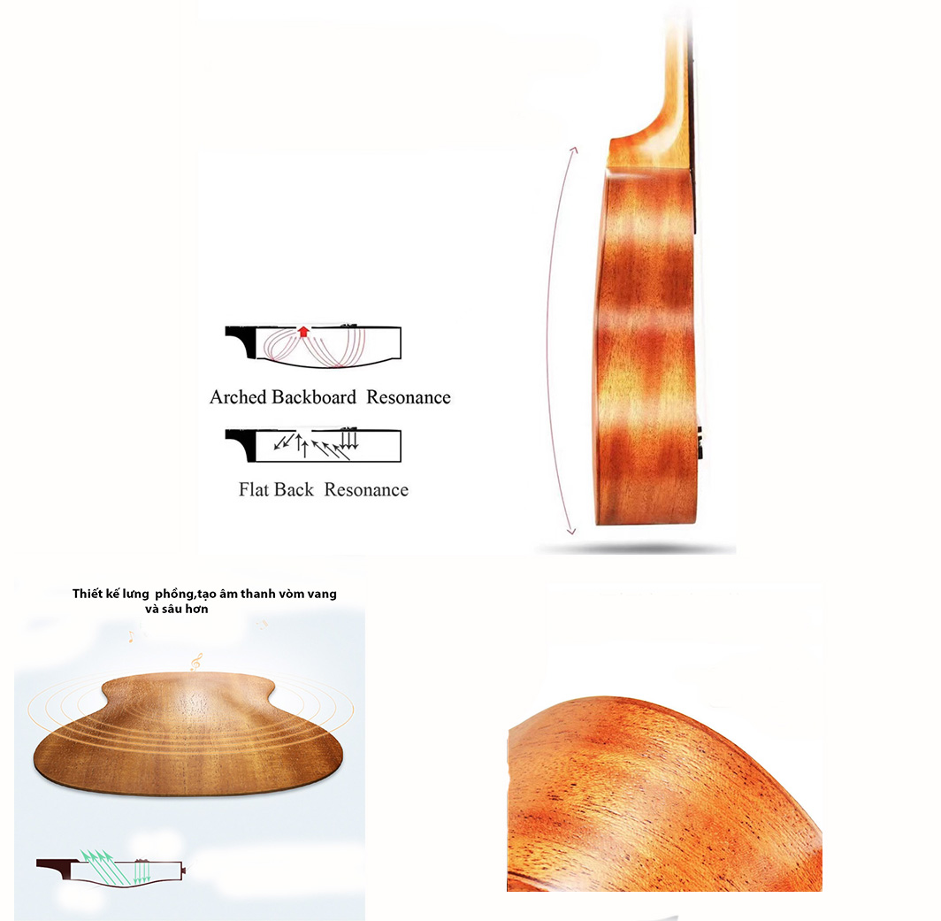ĐÀN UKULELE CONCERT GỖ NGUYÊN TẤM CAO CẤP(tặng full pk)