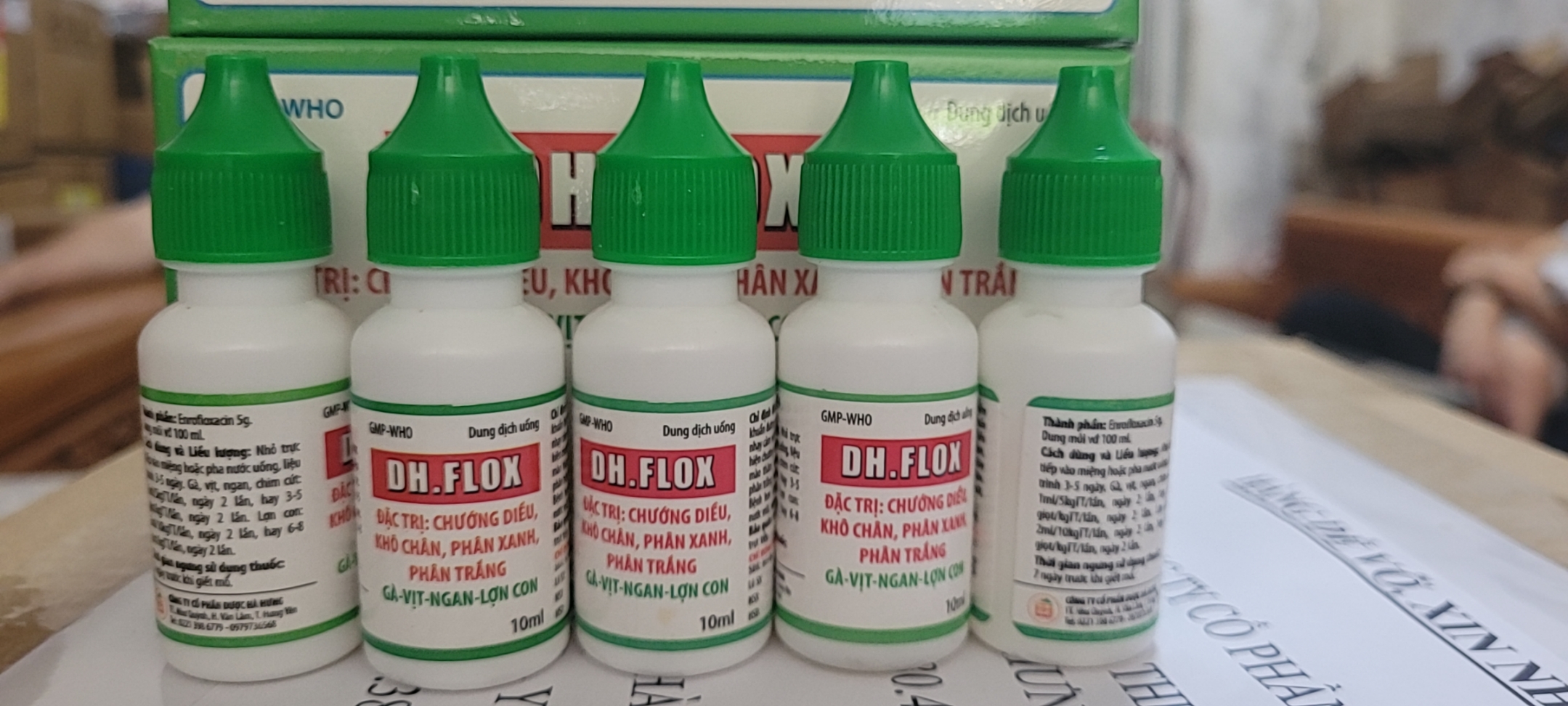DH. Flox 10ml dùng trong thú y